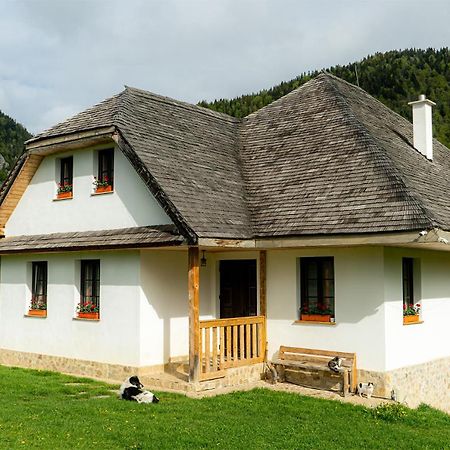 Pensiunea Hodaita Măgura Esterno foto