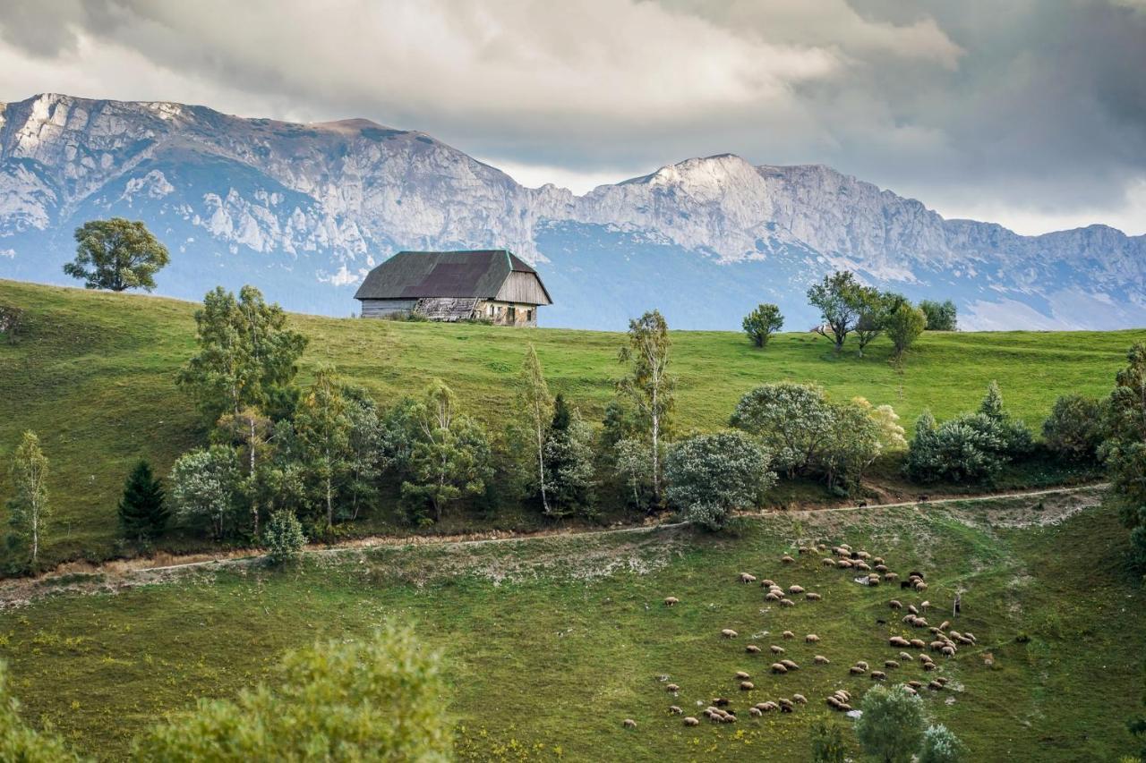 Pensiunea Hodaita Măgura Esterno foto