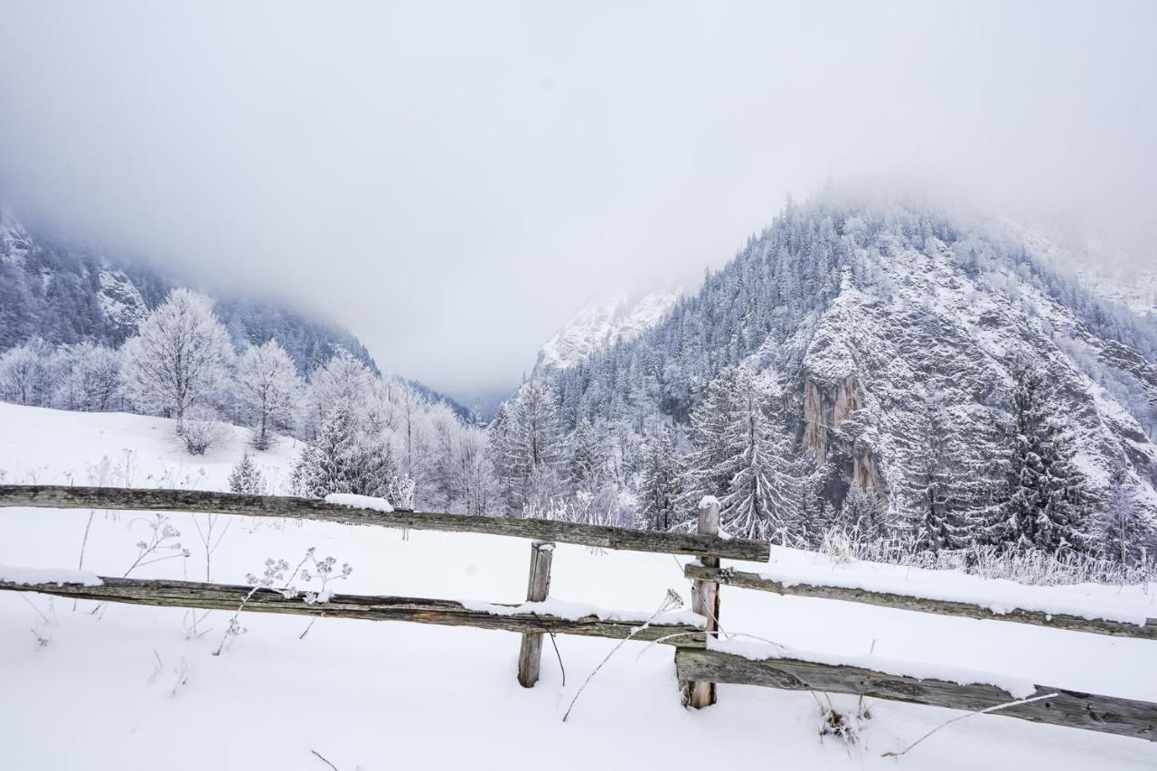 Pensiunea Hodaita Măgura Esterno foto