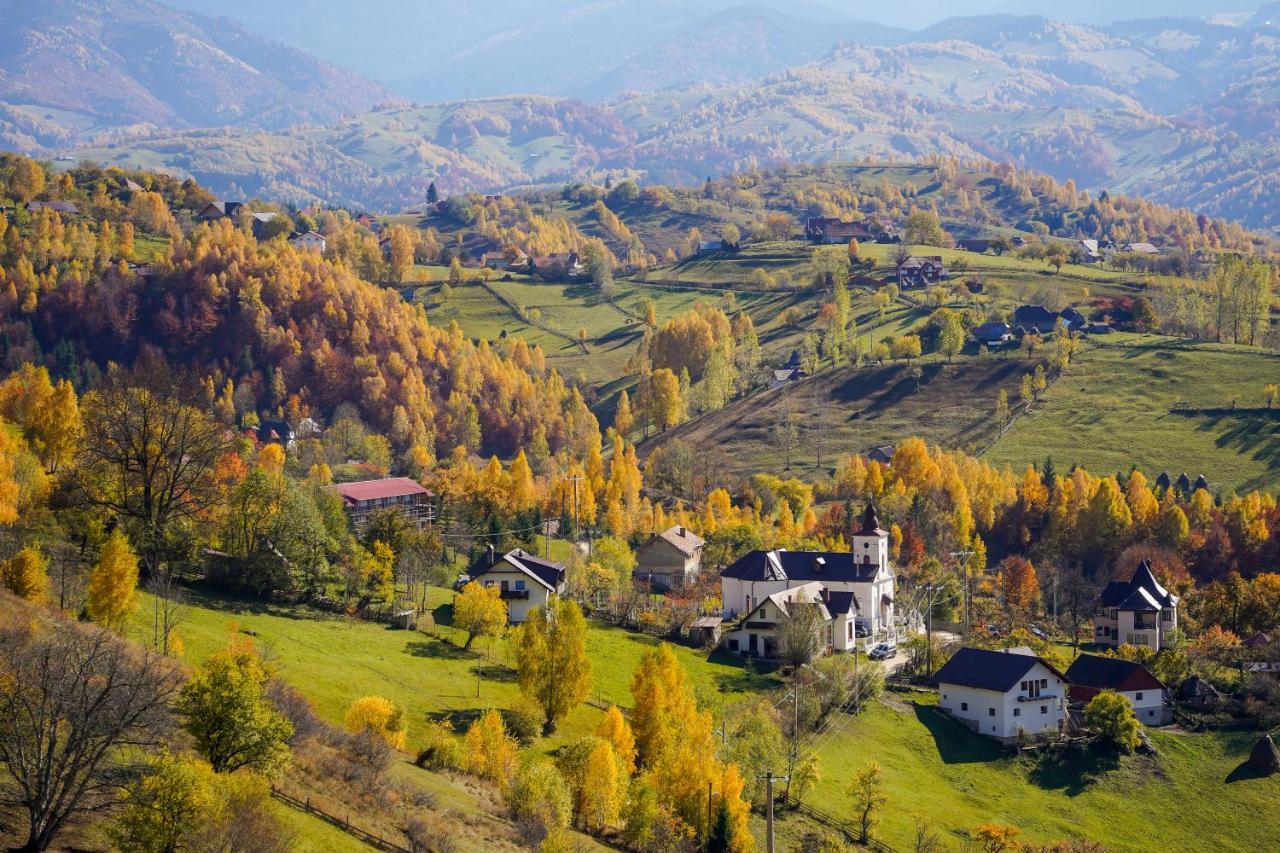 Pensiunea Hodaita Măgura Esterno foto