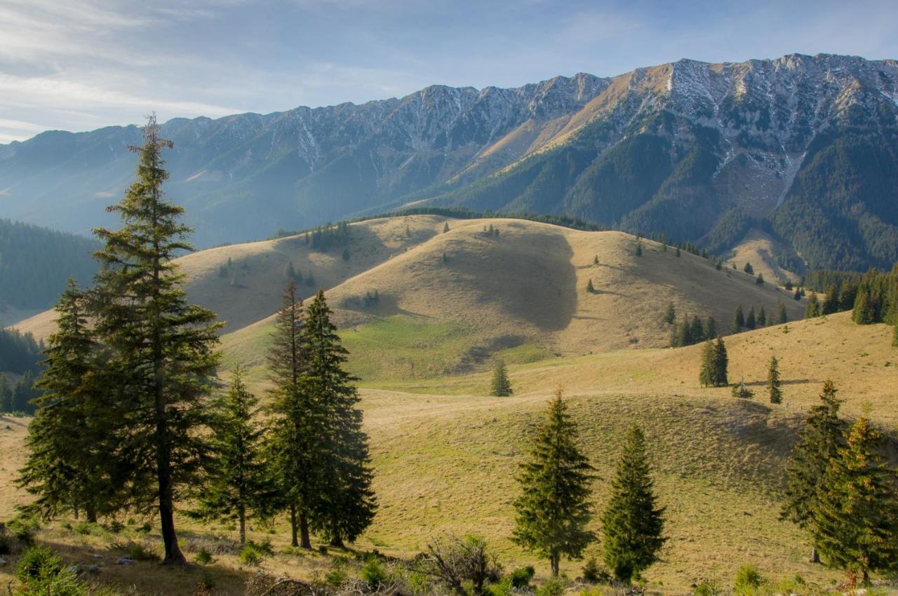 Pensiunea Hodaita Măgura Esterno foto