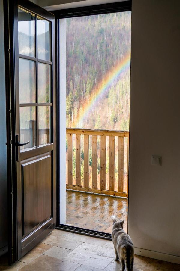 Pensiunea Hodaita Măgura Esterno foto