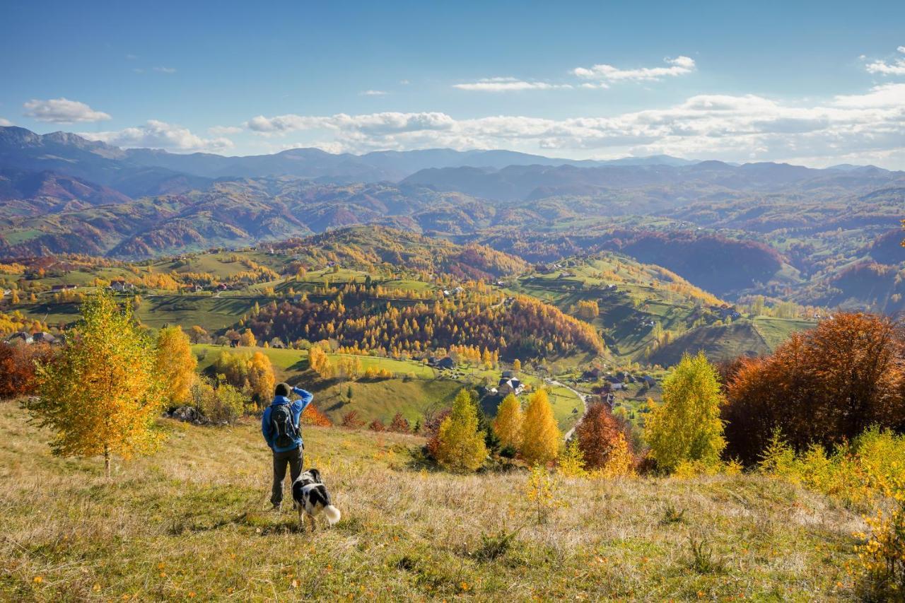 Pensiunea Hodaita Măgura Esterno foto