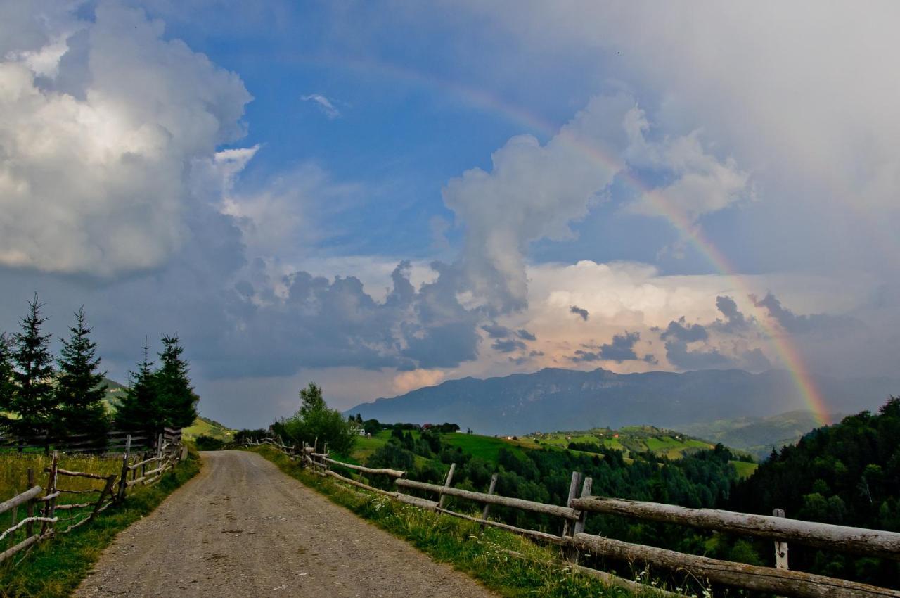 Pensiunea Hodaita Măgura Esterno foto