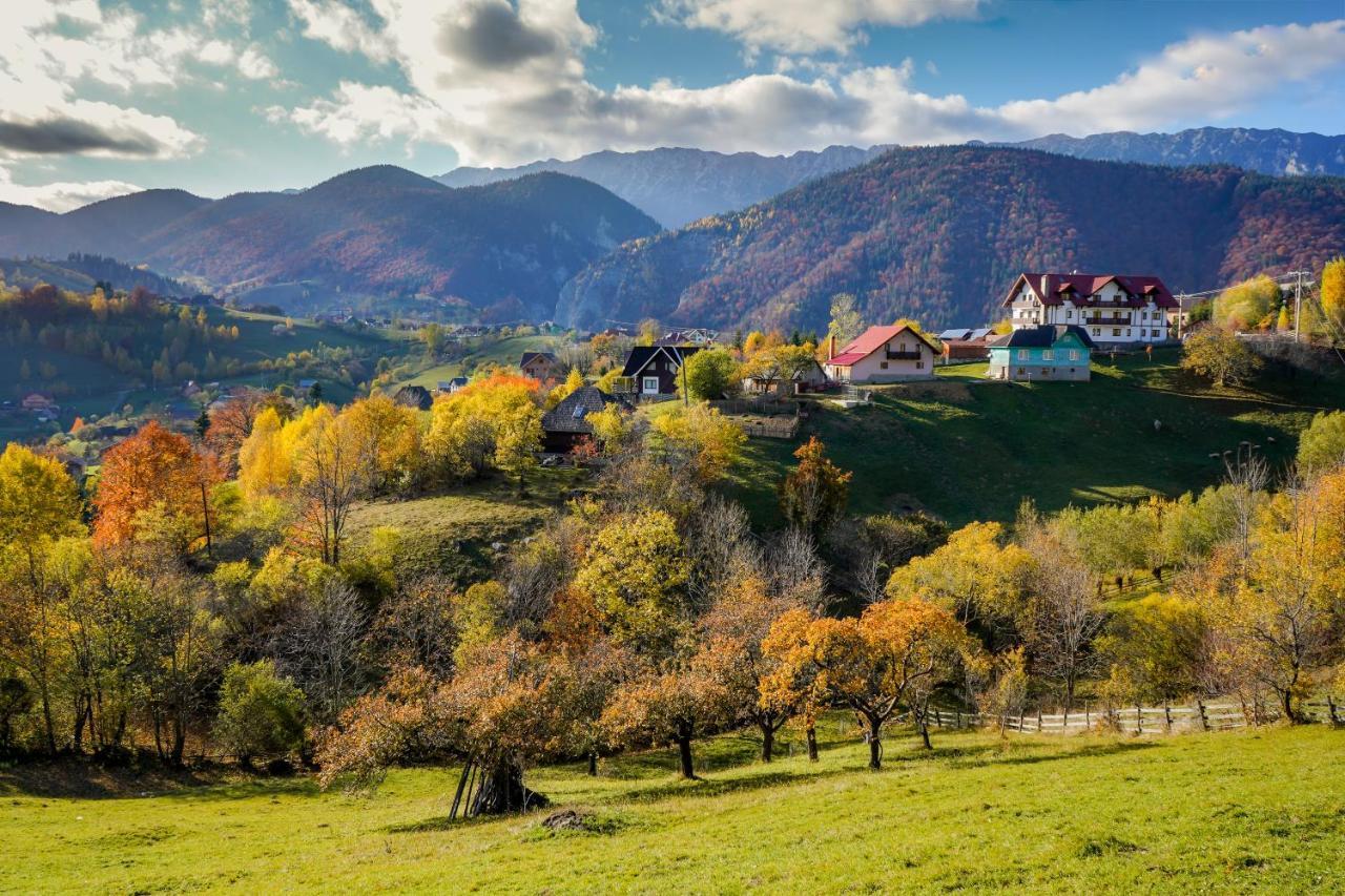 Pensiunea Hodaita Măgura Esterno foto