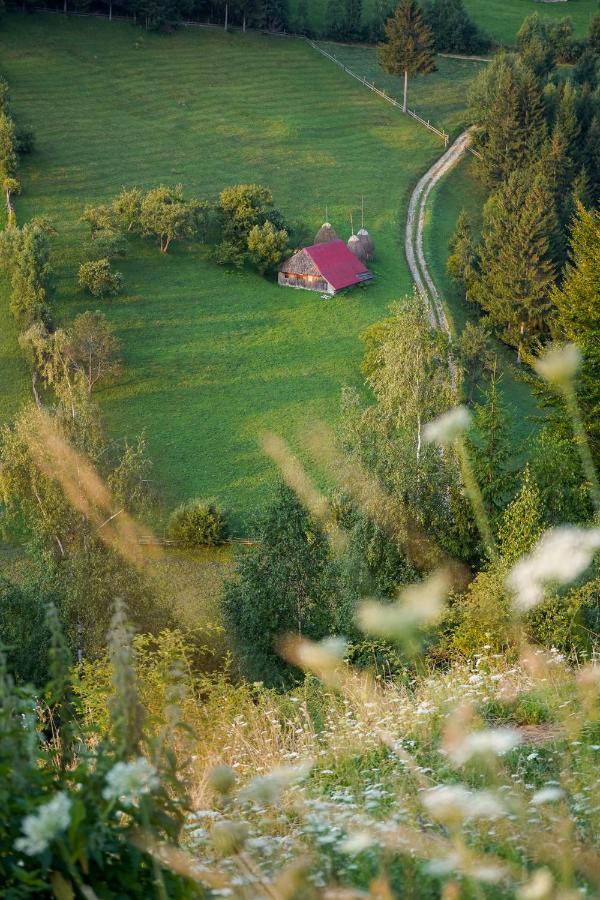 Pensiunea Hodaita Măgura Esterno foto