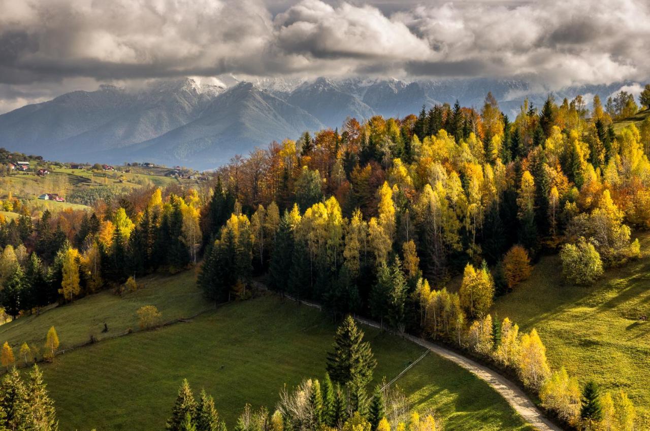 Pensiunea Hodaita Măgura Esterno foto