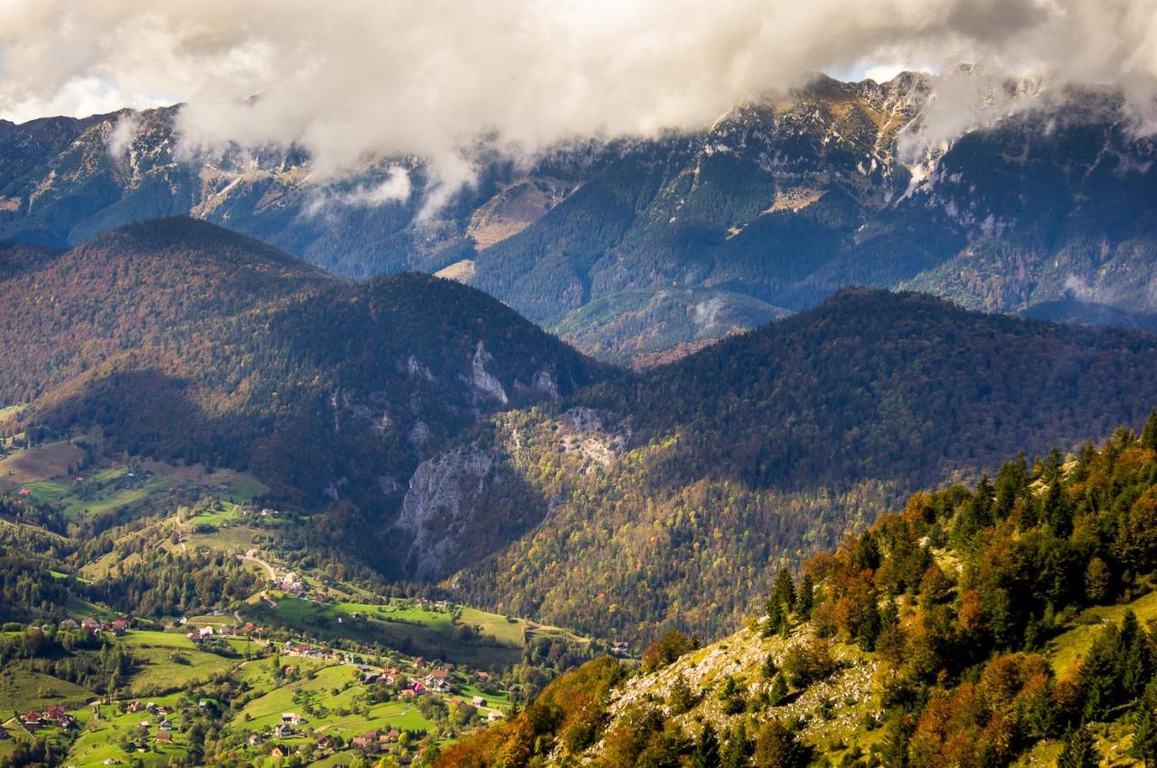 Pensiunea Hodaita Măgura Esterno foto