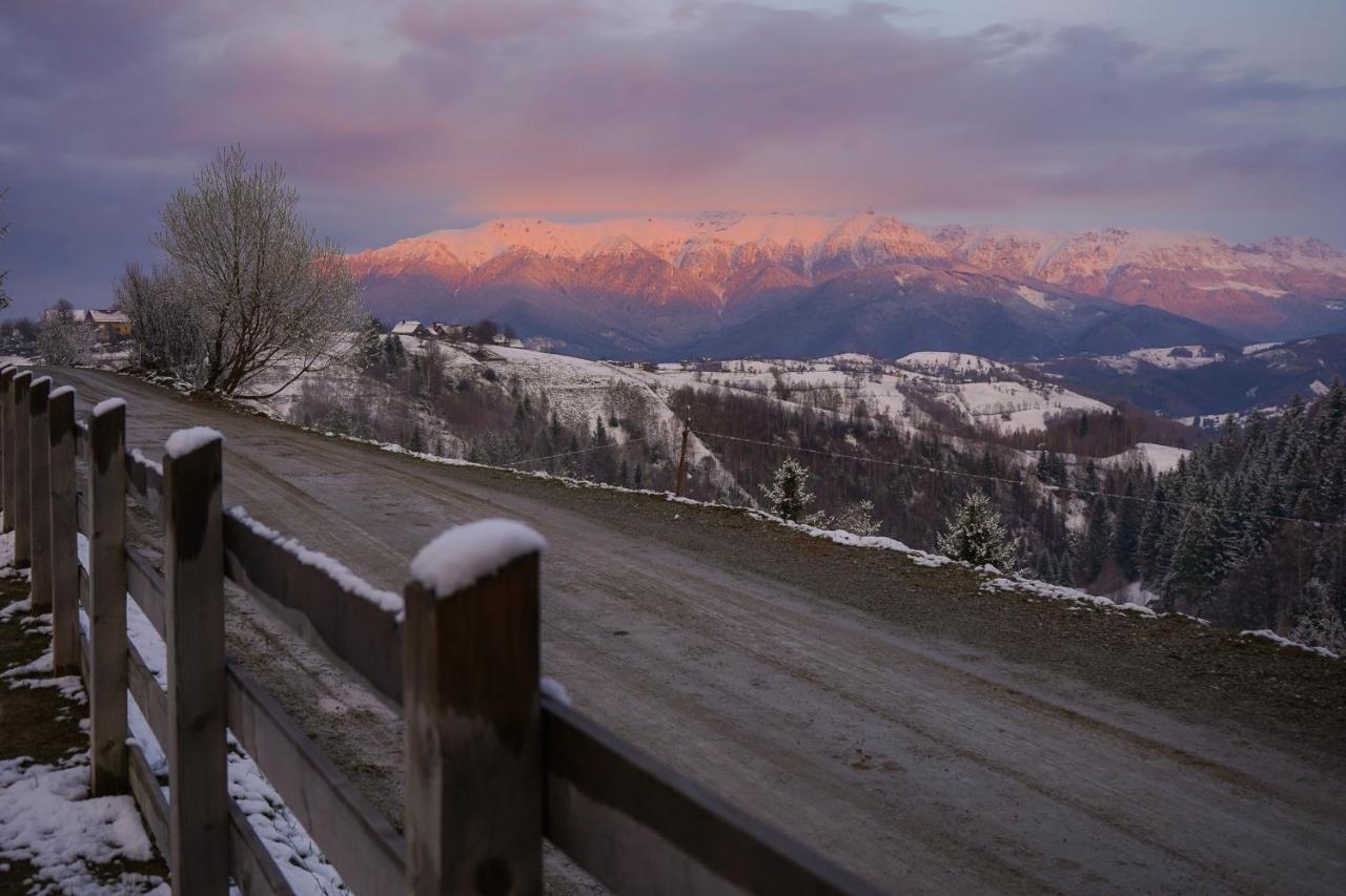 Pensiunea Hodaita Măgura Esterno foto