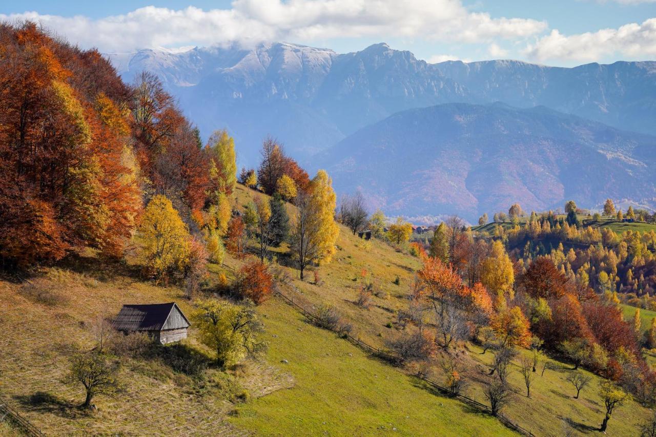 Pensiunea Hodaita Măgura Esterno foto